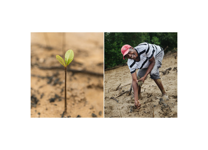 Partnering with Sprout: Deepening My Commitment to Sustainability, In the Studio