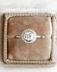 Brie Halo Lab Diamond Ring Andrea Bonelli Jewelry 